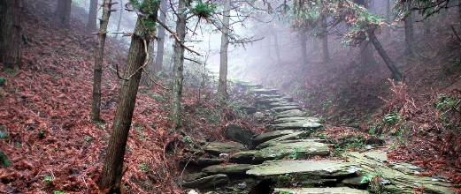 爱云南-C2线：昆明、大理、丽江、香格里拉纯玩双飞七日